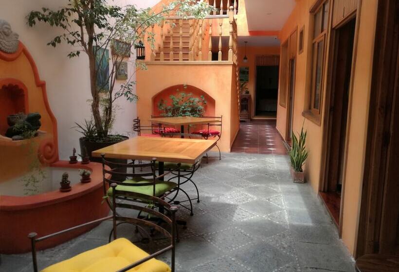 Casa Montalvo Bed & Breakfast