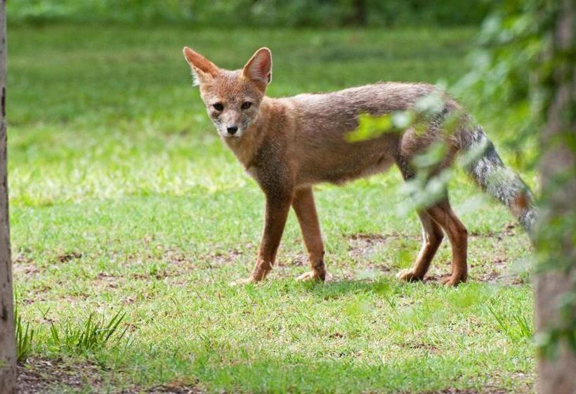 Casita De Piedra B&b