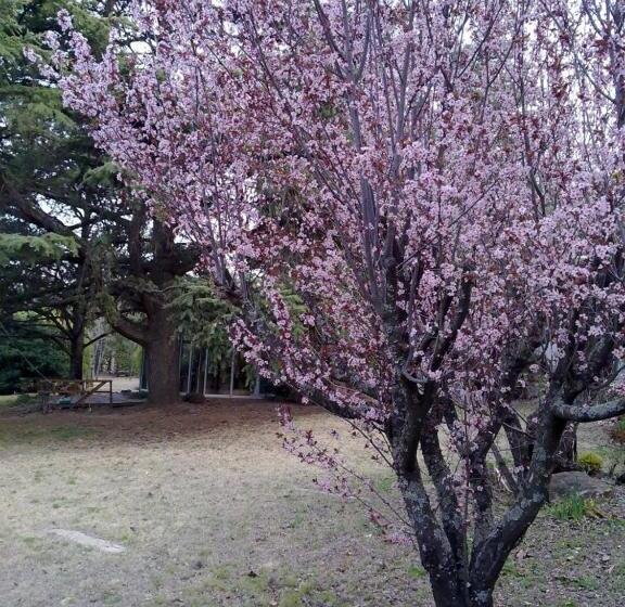 Casita De Piedra B&b