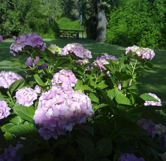 Casita De Piedra B&b