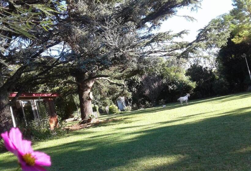 Casita De Piedra B&b