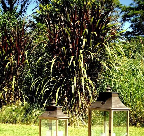 فندق Ca´montana Hostal Boutique