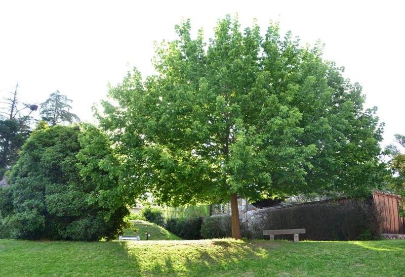 فندق Ca´montana Hostal Boutique