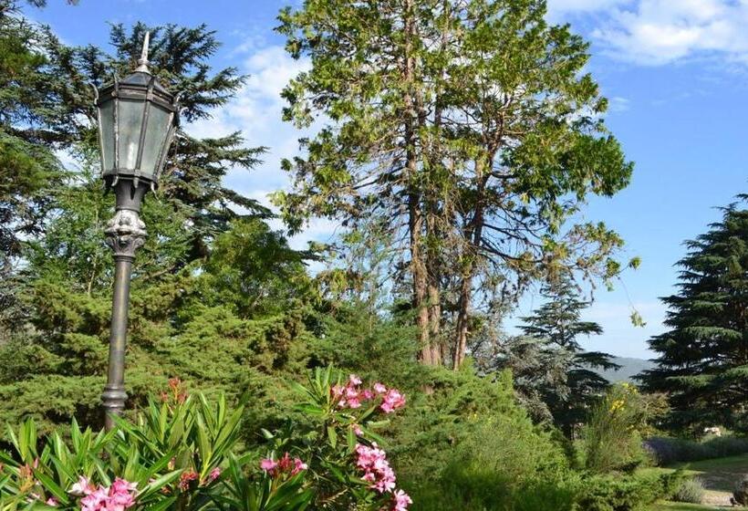 호텔 Ca´montana Hostal Boutique