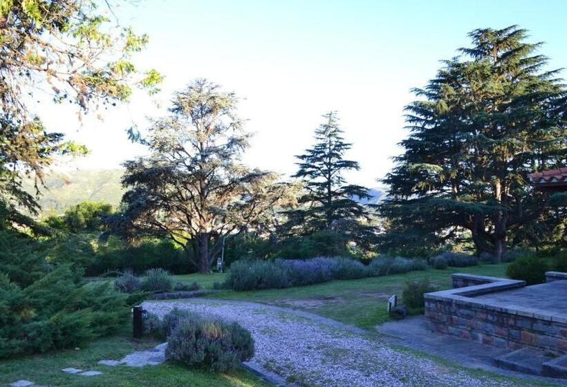 فندق Ca´montana Hostal Boutique