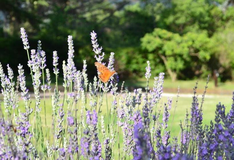 فندق Ca´montana Hostal Boutique