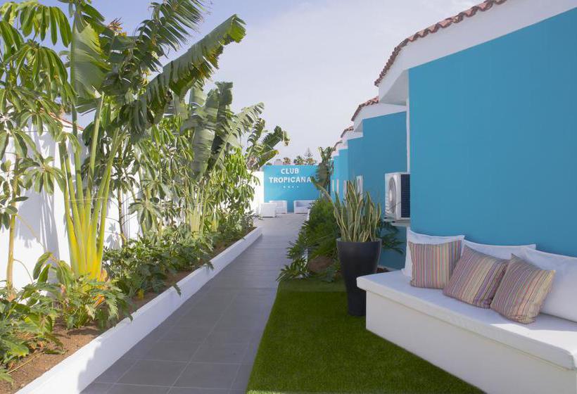 The Vintage Club  Caters To Gay Men