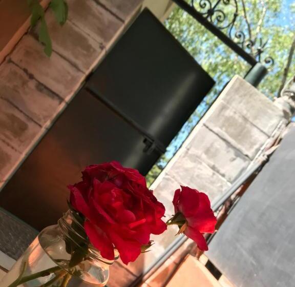 Hotel Cristobal De Colón