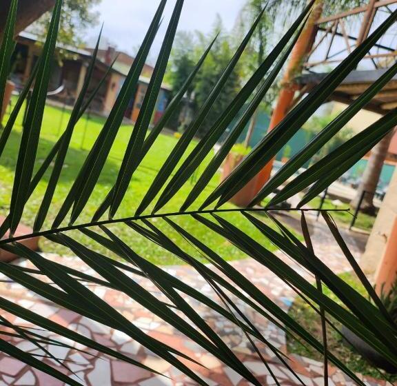 Hotel Cristobal De Colón