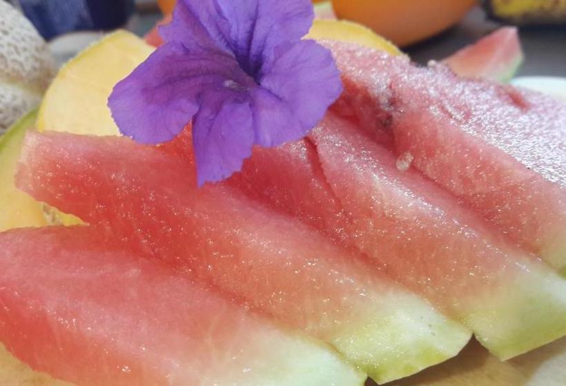 فندق El Destino Posada Boutique