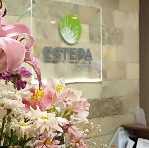 Отель Estepa