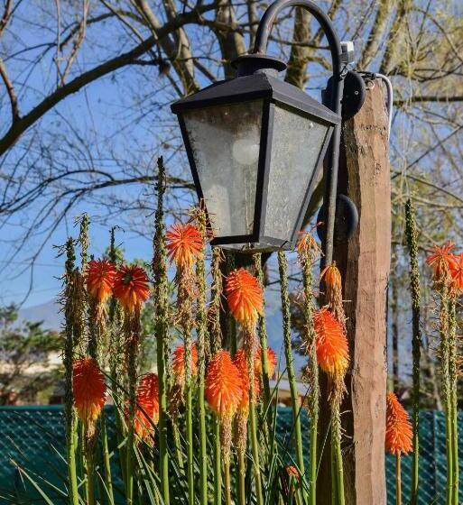 هتل Hostería El Remanso