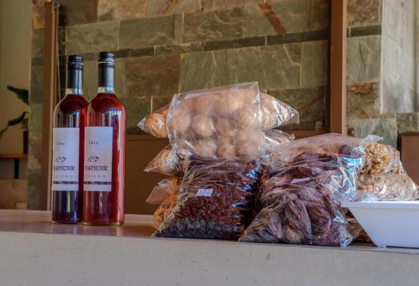 هتل Huellas Del Trapiche Apart