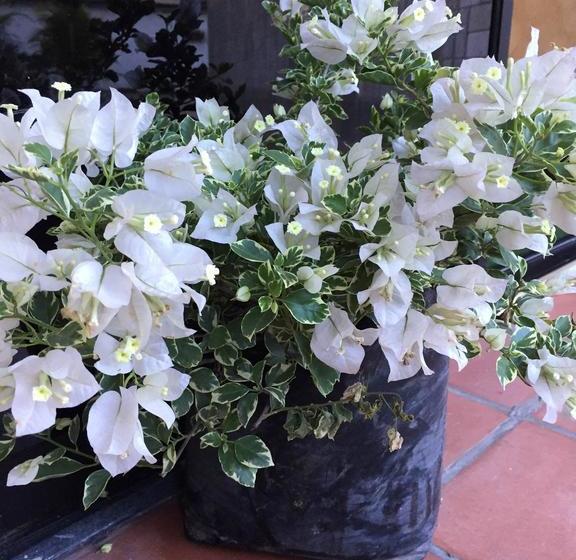 호텔 Joya De La Selva