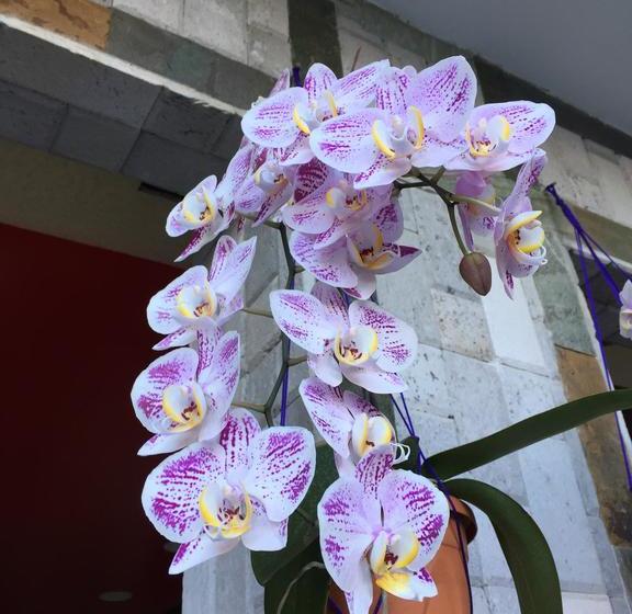 호텔 Joya De La Selva