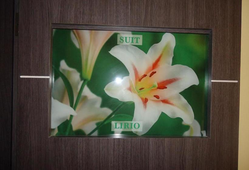 호텔 Joya De La Selva