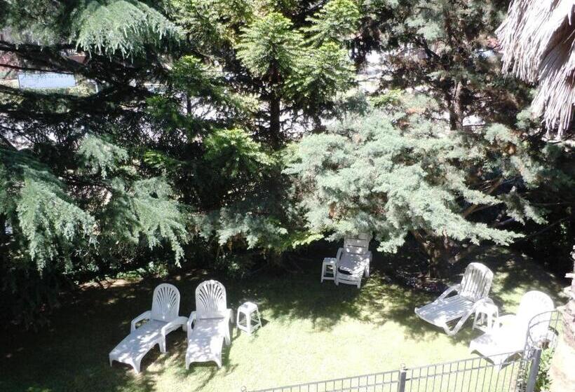 호텔 Las Araucarias