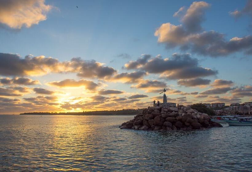 هتل Meson De Mita