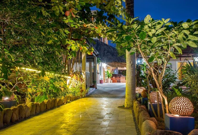 هتل Meson De Mita