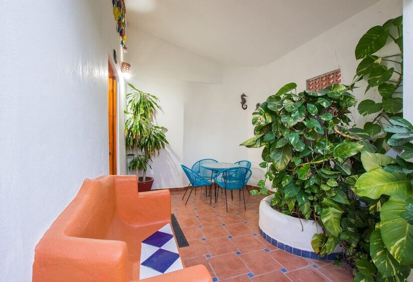 هتل Meson De Mita