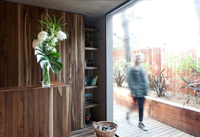 酒店 Plenilunio Mar De Las Pampas