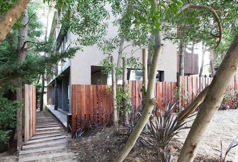 هتل Plenilunio Mar De Las Pampas