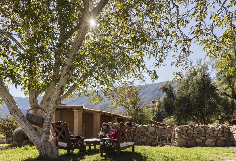 호텔 Posada De Luz