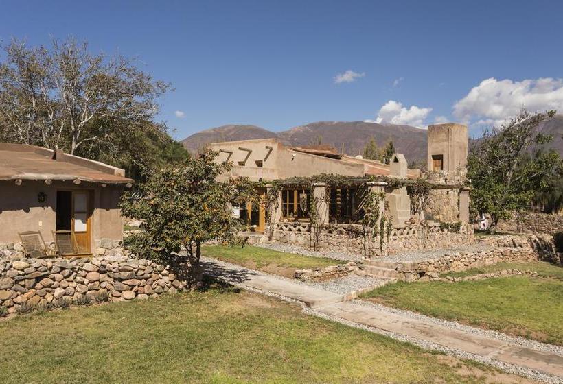 호텔 Posada De Luz