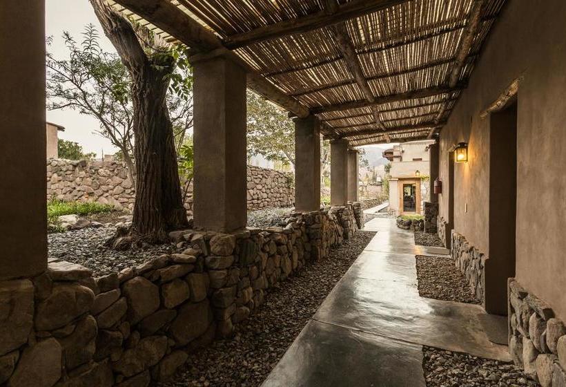 호텔 Posada De Luz