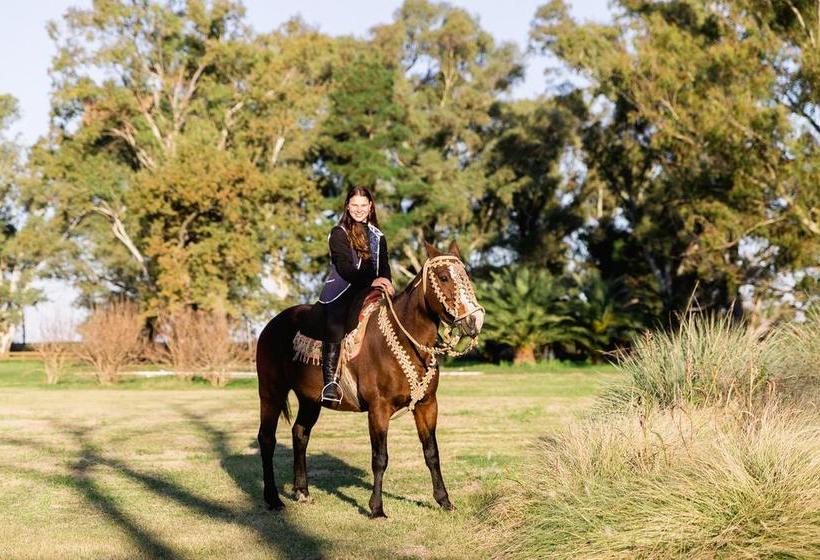 Отель Rural La Pampeana
