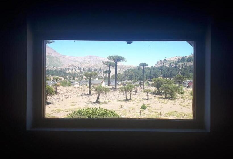 Отель Spa Nieves Del Cerro