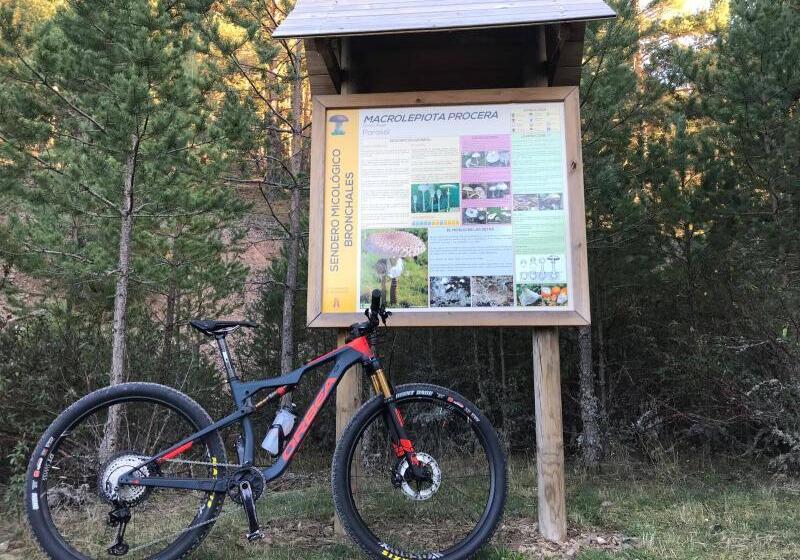 בית מלון כפרי Suiza