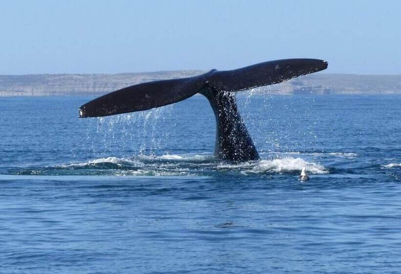 Отель Y Casino Del Rio   Las Grutas