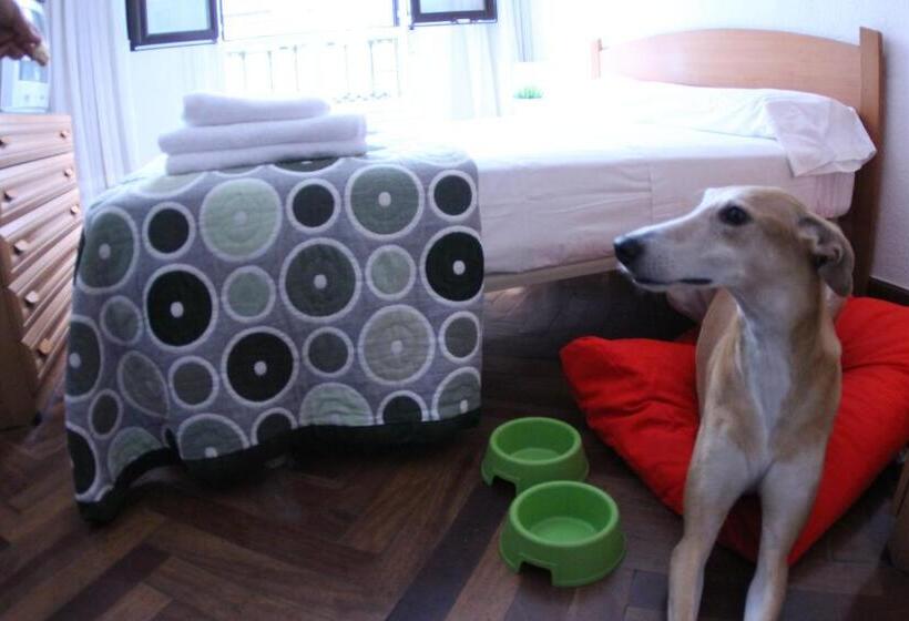 ホテル Zubia Urban Rooms