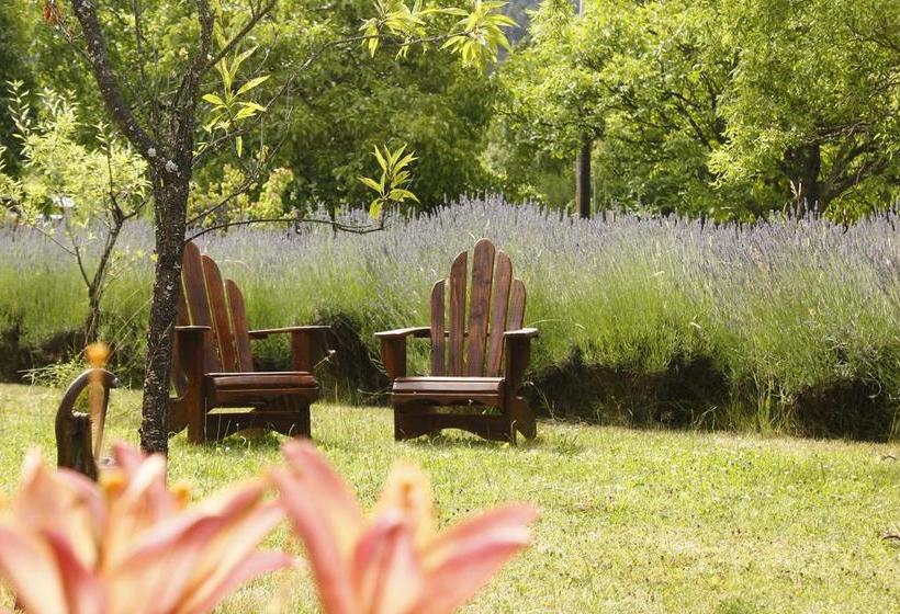 هاستل Huala Hosteria