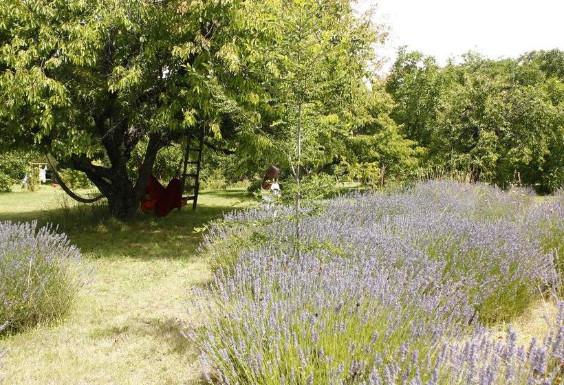 فندق صغير Huala Hosteria