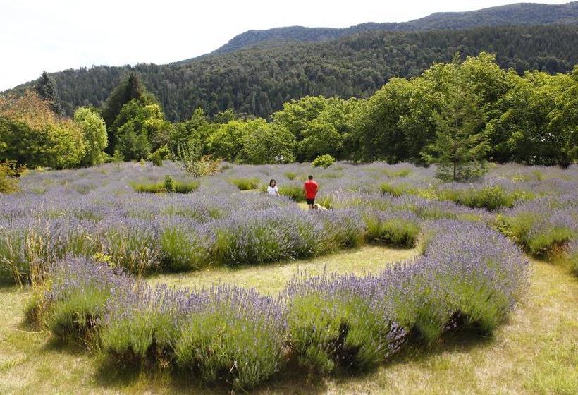 هاستل Huala Hosteria