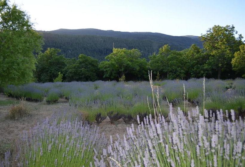 فندق صغير Huala Hosteria