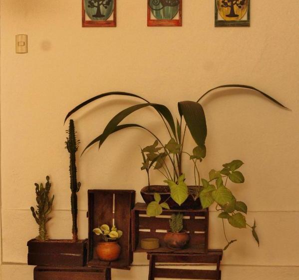 호스텔 Hostal Mochiliers Bed And Breakfast