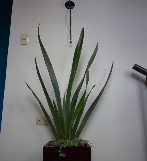 호스텔 Hostal Mochiliers Bed And Breakfast