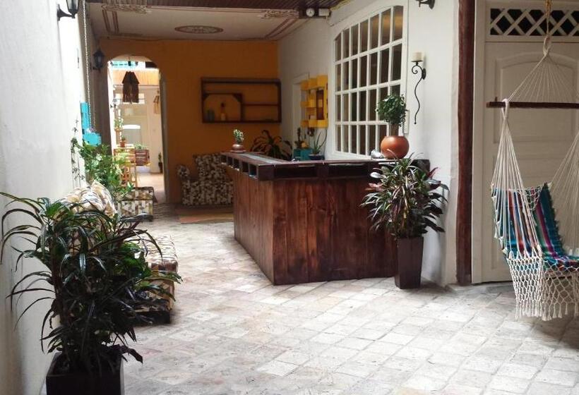 호스텔 Hostal Mochiliers Bed And Breakfast