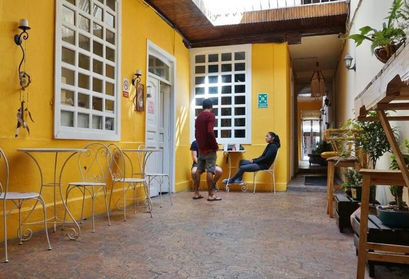 호스텔 Hostal Mochiliers Bed And Breakfast