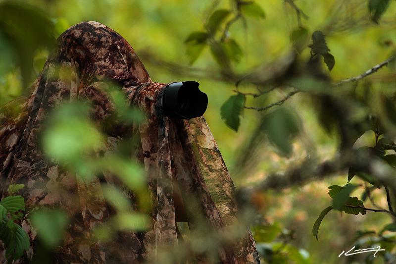 住所  Portal De Piedra