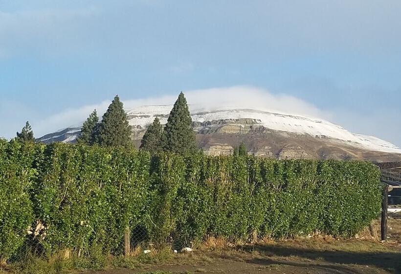 South B&b El Calafate