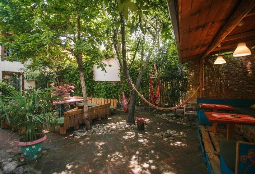 The Wanderers Hostel