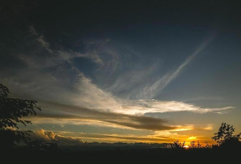 فندق Boutique Villa Art