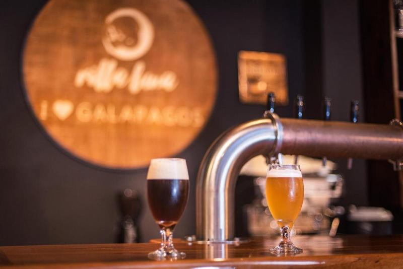 هاستل Galapagos Native