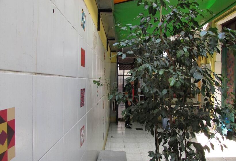 هاستل Hospedaje La Rana