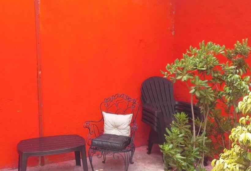 هاستل Hospedaje La Rana