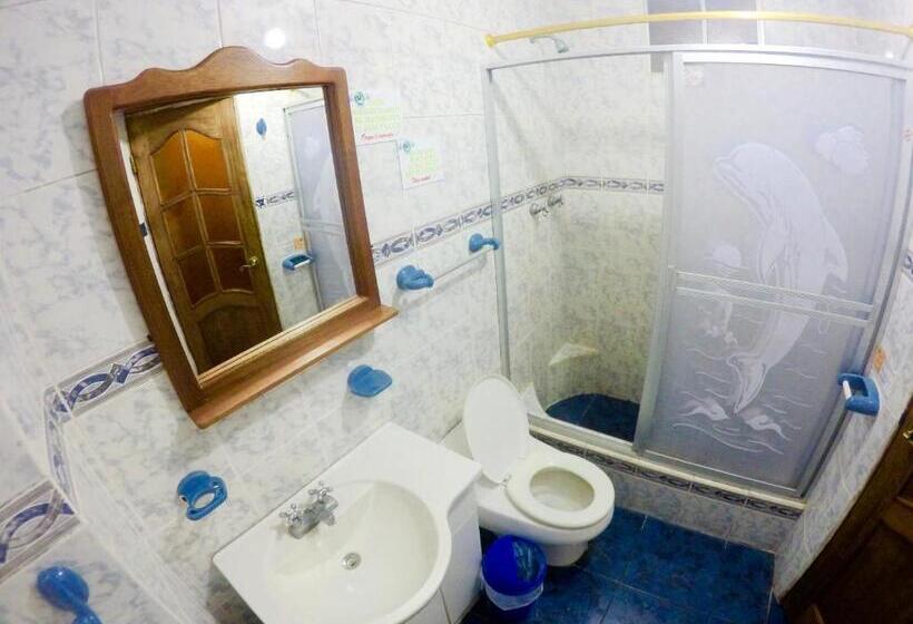 هاستل Hostal Nomada